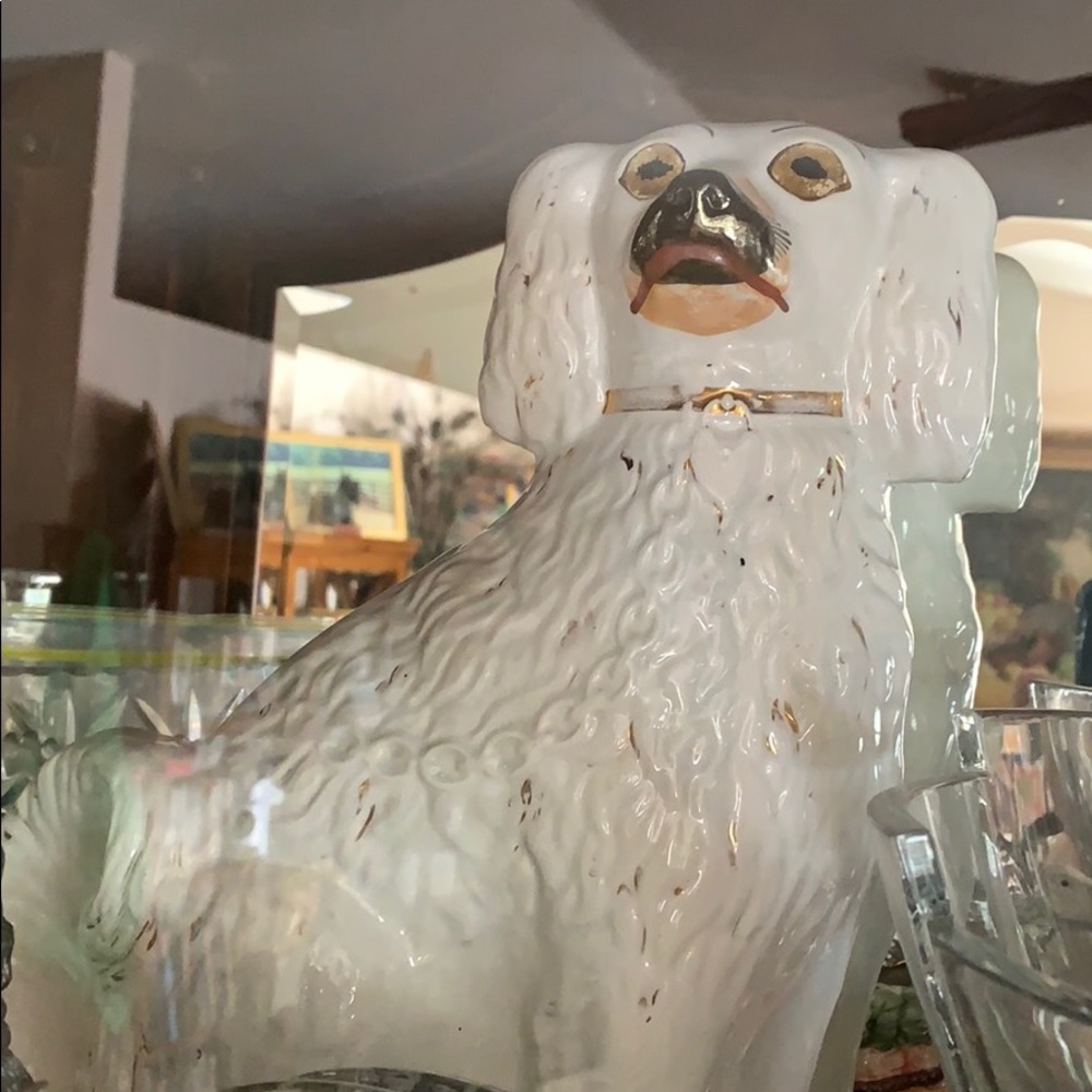 Huge Staffordshire Dog